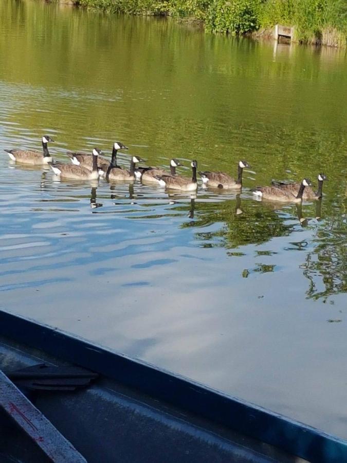 Elton Barn Fishery & Retreat نوتينغهام المظهر الخارجي الصورة